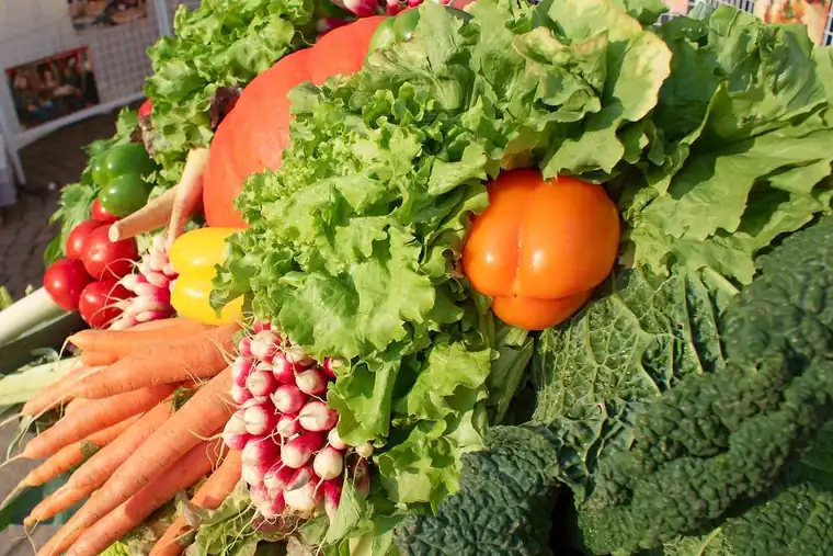 Panier de légumes prêt à être retiré